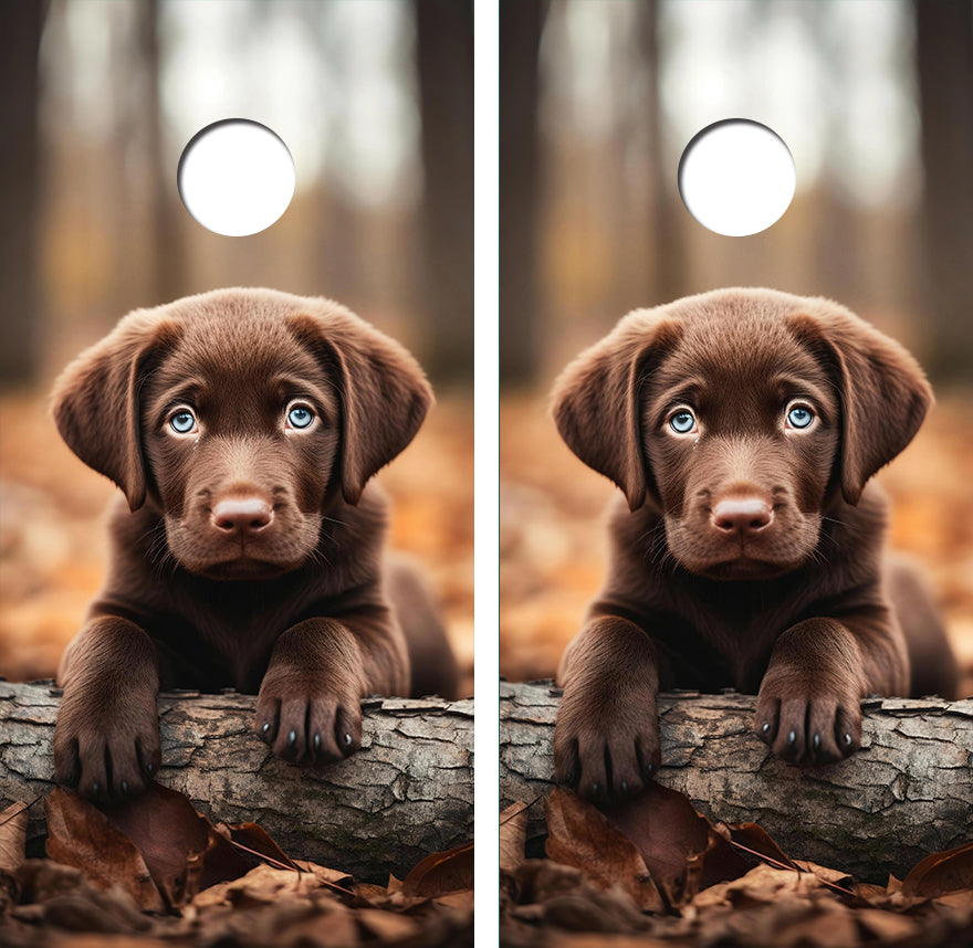 Cute Chocolate Labrador Retreive Puppy Cornhole Wood Board Skin Wrap