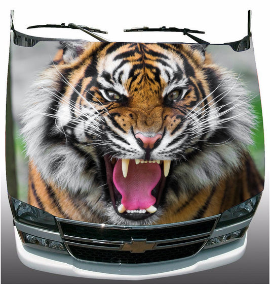 Tiger Hood Wrap Vinyl Graphic Decal Sticker Wrap Car or Truck