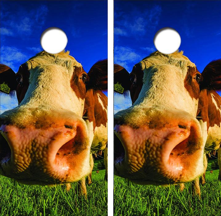 Happy Nosey Cow Cornhole Wrap Decal with Free Laminate Included