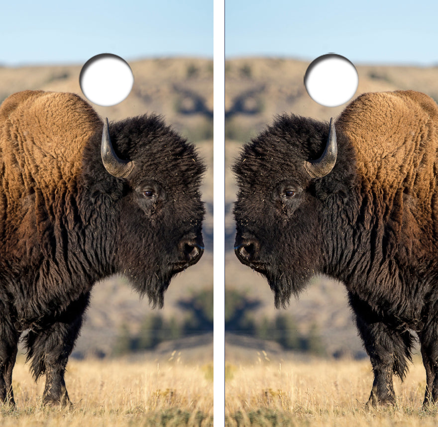 American Bison/Buffalo Cornhole Wrap Decal with Free Laminate Included